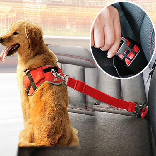 Golden retriever wearing red harness seat belt attached to car seat with close-up of buckle.