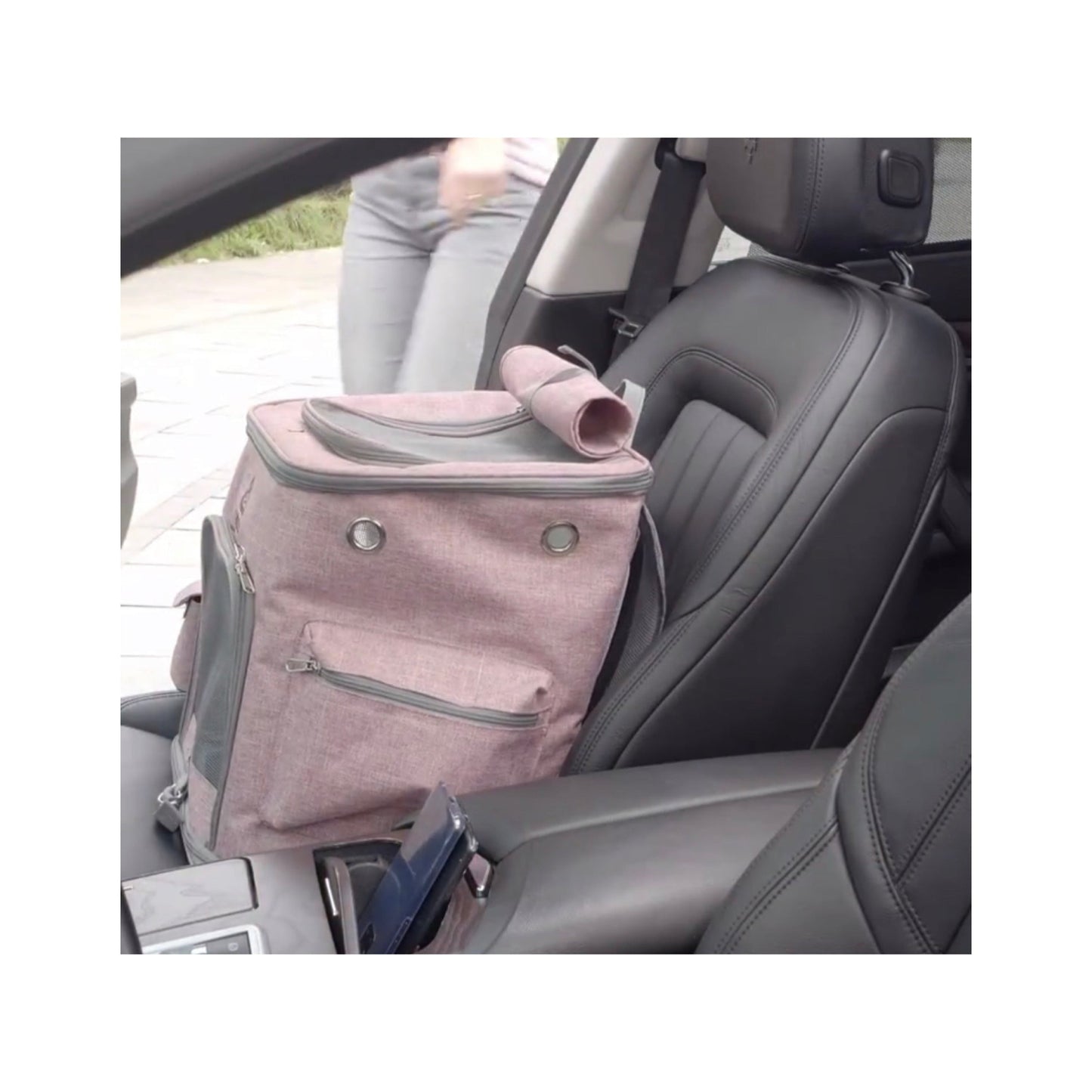 Cats and dogs Carrier Backpack