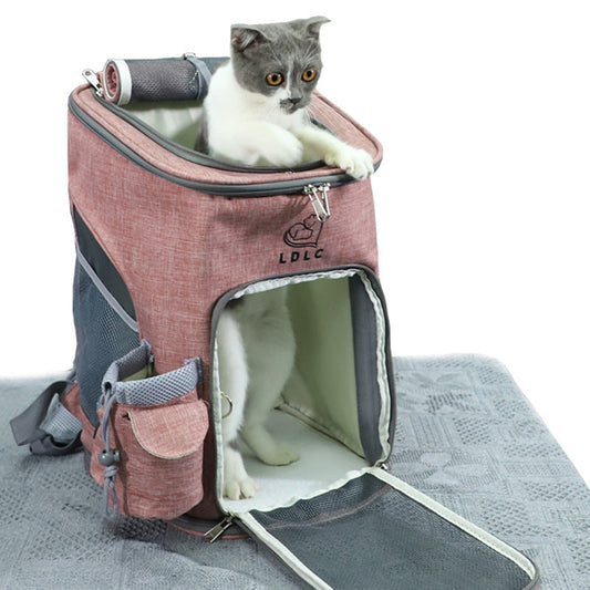 Cat inside pink pet carrier backpack on a gray mat.