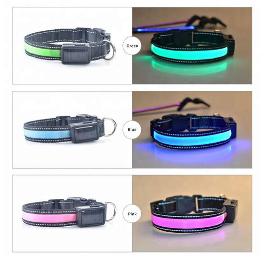Solar and USB charging reflective LED dog collars in green, blue, and pink with light-up stripes on white background.