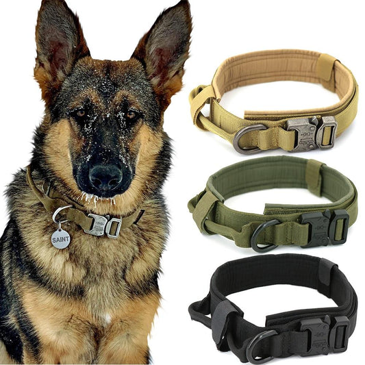German Shepherd wearing a tactical dog collar with three nylon collars in khaki, green and black displayed below.