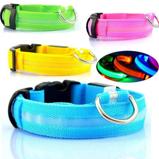 Set of colorful LED dog collars (blue, green, pink and yellow) with reflective strips.