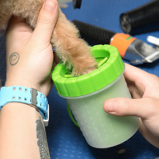 Dog's paw being cleaned inside a green pet wash cup held by a person